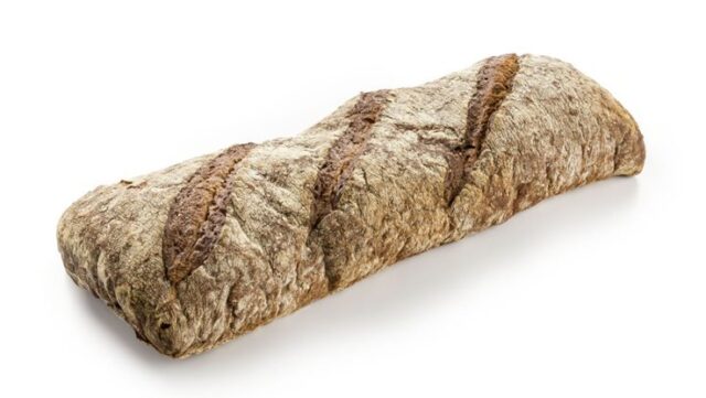 Pave Garde Forestier 1900 (Vegan)