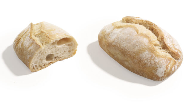 MINI PAGNOTTELLA RUSTICA